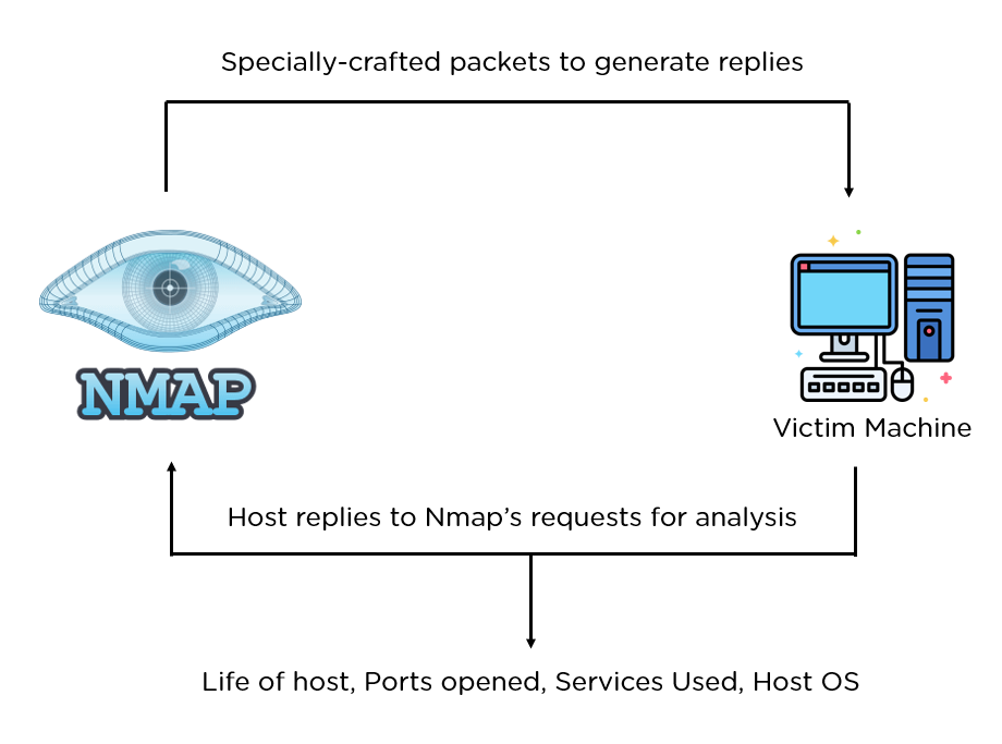 A Comprehensive Guide to Using Nmap